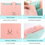 E008 8-Piece Expanding File Folder